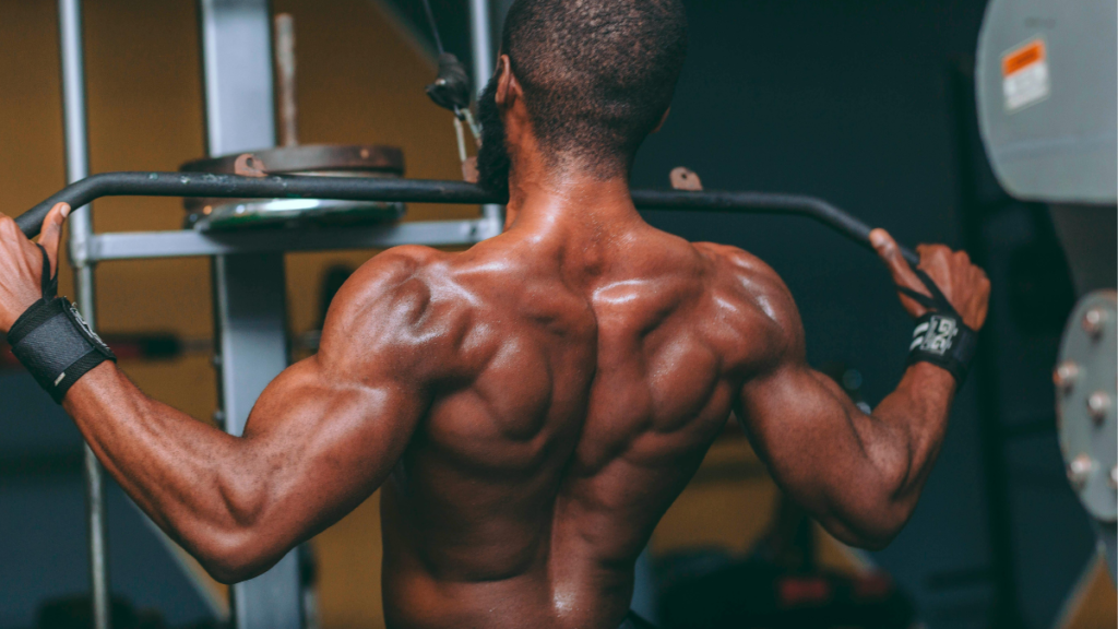 creatina funciona mesmo